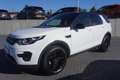 Land Rover Discovery Sport 2.0 SE AWD Aut. Bi-Xenon Navi Weiß - thumbnail 2
