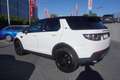 Land Rover Discovery Sport 2.0 SE AWD Aut. Bi-Xenon Navi Weiß - thumbnail 3
