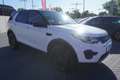 Land Rover Discovery Sport 2.0 SE AWD Aut. Bi-Xenon Navi Weiß - thumbnail 6