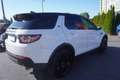 Land Rover Discovery Sport 2.0 SE AWD Aut. Bi-Xenon Navi Weiß - thumbnail 5