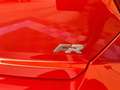 SEAT Ibiza 1.5 TSI 110kW DSG FR 40 Aniversario Rojo - thumbnail 9