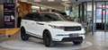 Land Rover Range Rover Velar D180 R-Dynamic ALLRAD Aut. *Meridian*Kamera*20Zoll Weiß - thumbnail 3