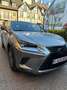 Lexus NX 300h AWD-E-CVT EXECUTIVE LINE Grijs - thumbnail 6