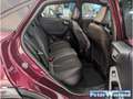 Ford Puma ST-LINE X BERRY Navi B & O LED ACC El. Heckklappe Rot - thumbnail 12