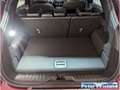 Ford Puma ST-LINE X BERRY Navi B & O LED ACC El. Heckklappe Rot - thumbnail 9