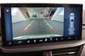 Ford Kuga 2.5 PHEV ST-Line | WInterpakket | Camera | Carplay Groen - thumbnail 12