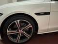 Jaguar XF XF II Sportbrake 2.0d i4 R-Sport 180cv auto my20 Bianco - thumbnail 8