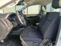 Ford Ranger 2.0 ECOBLUE XL 2 posti GANCIO TRAINO IVA INCLUSA Bianco - thumbnail 9