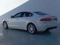 Jaguar XE Pure White - thumbnail 3