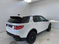 Land Rover Discovery Sport 1.5 I3 PHEV Dynamic S AWD Auto Blanco - thumbnail 5