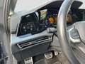 Volkswagen Golf Variant Golf VIII Variant Alltrack 2.0TDI DSG 4M LED H&K Grau - thumbnail 13