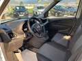 Fiat Doblo CARGO 1.6 MULTIJET 105 PRO LOUNGE Blanc - thumbnail 13