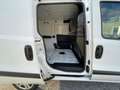 Fiat Doblo CARGO 1.6 MULTIJET 105 PRO LOUNGE Blanc - thumbnail 11