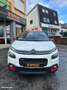 Citroen C3 generation-iii 1.2 80ch feel carplay distribution neuf Blanc - thumbnail 19