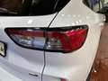 Ford Kuga ST-Line X 2.5 Duratec PHEV Navi AHK LED Head-Up Weiß - thumbnail 12
