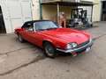 Jaguar XJSC XJS 5.3 V12 300 CV CABRIO ASI AUTOMATICA Rot - thumbnail 20