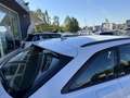 Audi A6 A6 Avant 40 2.0 TDI S tronic Business Sport s line Weiß - thumbnail 15