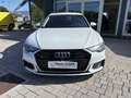 Audi A6 A6 Avant 40 2.0 TDI S tronic Business Sport s line Weiß - thumbnail 1