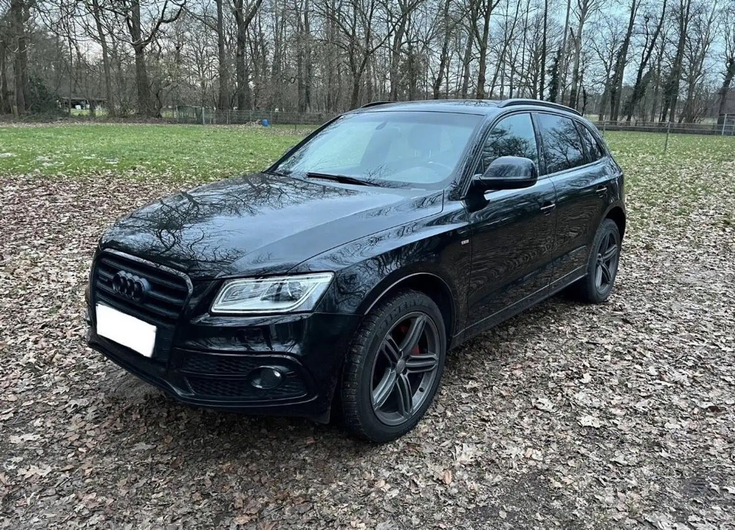 Audi Q5 3.0 TDI (190 kW) quattro Schwarz - 2