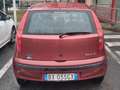 Fiat Punto Punto II 1999 5p 1.2 EL Rosso - thumbnail 5