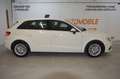 Audi A3 2,0 TDI **150 PS**Leder**Xenon** Weiß - thumbnail 12