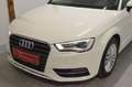 Audi A3 2,0 TDI **150 PS**Leder**Xenon** Weiß - thumbnail 4