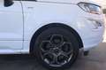 Ford EcoSport ECOSPORT* ST-LINE* WINTERPAKET* LEDER* 2.HD* Wit - thumbnail 13