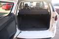 Ford EcoSport ECOSPORT* ST-LINE* WINTERPAKET* LEDER* 2.HD* Wit - thumbnail 19