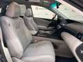 Lexus RX 350 Luxury Aut. Grigio - thumbnail 10