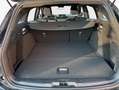 Ford Focus Turnier 1.0 EcoBoost Hybrid Aut. ST-LINE Schwarz - thumbnail 5
