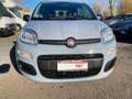 Fiat Panda Panda 1.0 firefly hybrid s- 10.990 PROMO FINANZIAM Grey - thumbnail 1