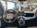 Fiat Panda Panda 0.9 t.air  4x4 Rosso - thumbnail 7