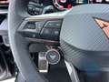 CUPRA Terramar 2.0 TSI 4x4 Panorama LED Kessy Schwarz - thumbnail 14