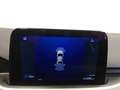 Ford Kuga Cool & Connect 2.0 EcoBlue Automatik 4WD Blau - thumbnail 12