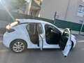 Opel Corsa Corsa 1,2 Euro 6.4 Edition Edition Weiß - thumbnail 2