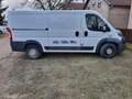 Fiat Ducato Ducato 33 L2H1 150 Panorama Panorama Blanc - thumbnail 3