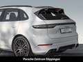 Porsche Cayenne S Platinum Edition Nachtsicht InnoDrive Weiß - thumbnail 18