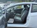 Ford Fiesta Ambiente !Wenig Km! TÜV Neu! Weiß - thumbnail 8