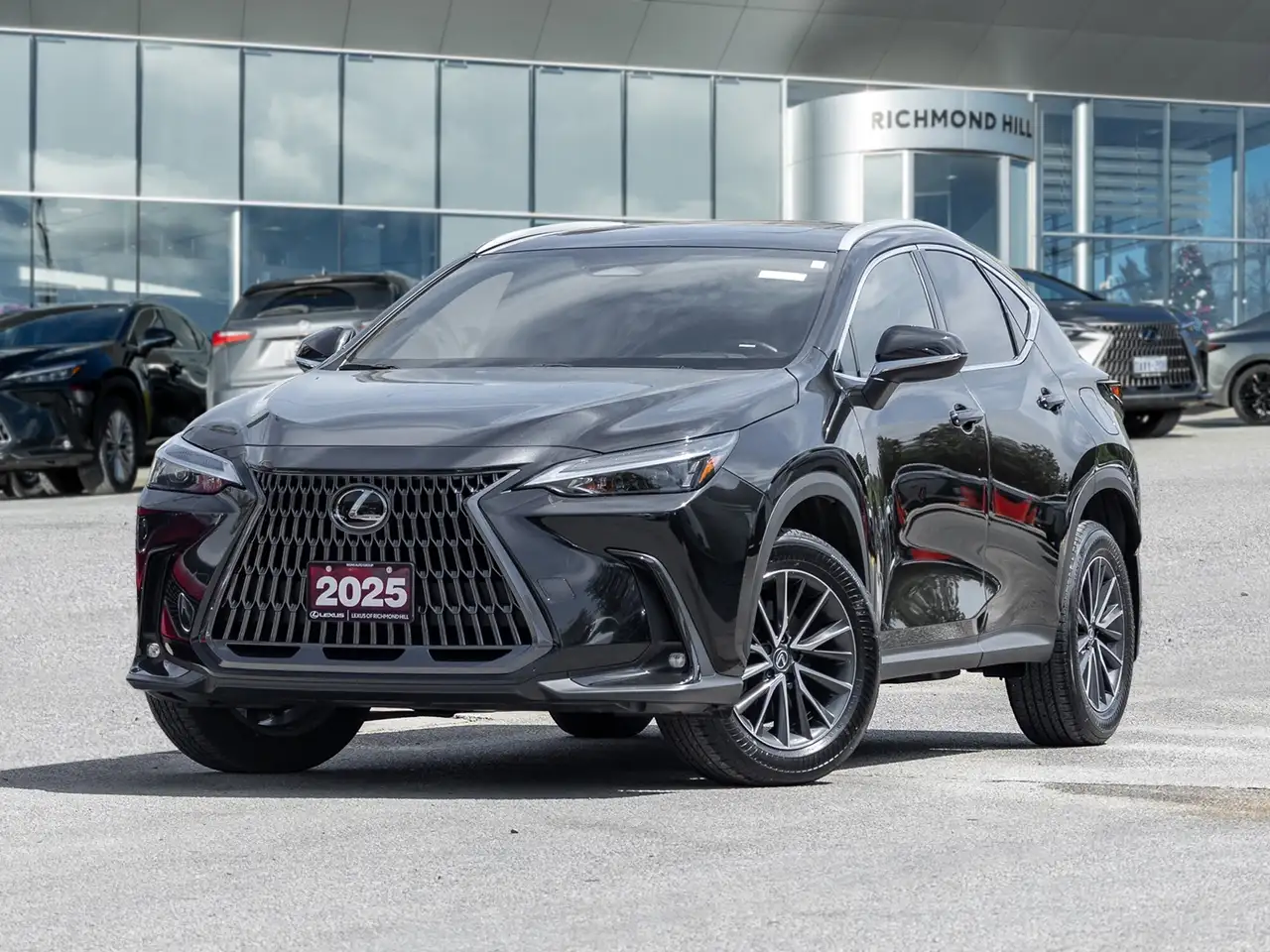 2025 Lexus NX