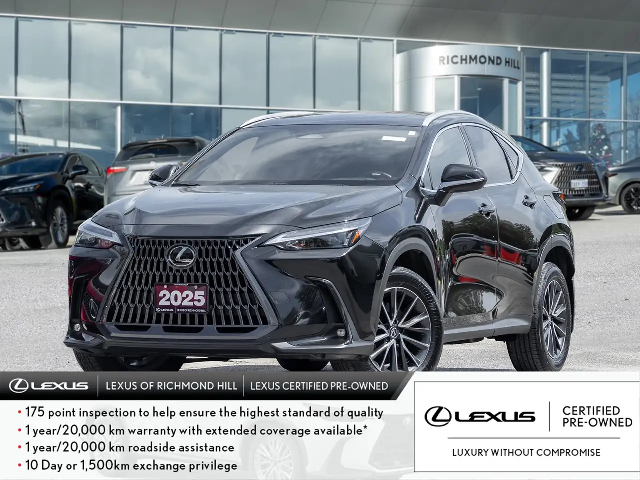 2025 Lexus NX