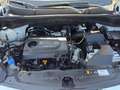 Kia Sportage 1.7 CRDI 2WD Business Class Blanc - thumbnail 24