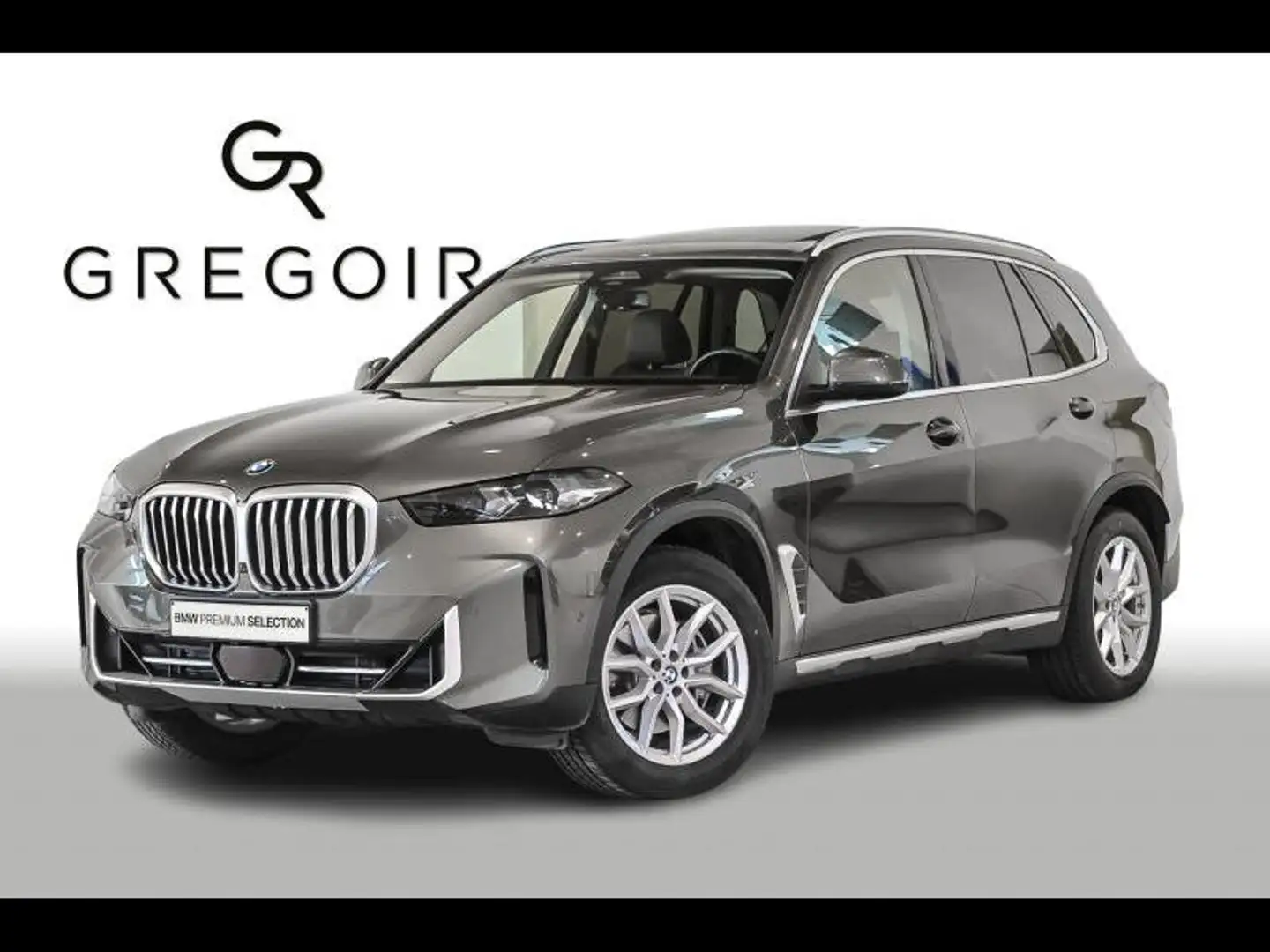 BMW X5 xDrive40i|Pano|Comfort|H&K|Cam|Dass Goud - 1