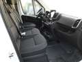 Peugeot Boxer Blanc - thumbnail 12