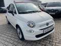 Fiat 500C 1.0 Cabrio Klima*Carplay*Einparkhilfe Weiß - thumbnail 8