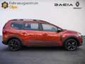 Dacia Jogger Extreme+, Ganzjahresreifen, ab 1,49% Braun - thumbnail 3