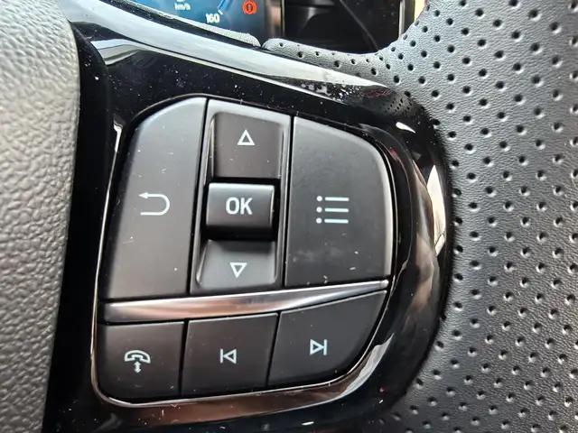 Ford Puma view 15