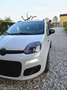 Fiat Panda Lounge Bianco - thumbnail 4