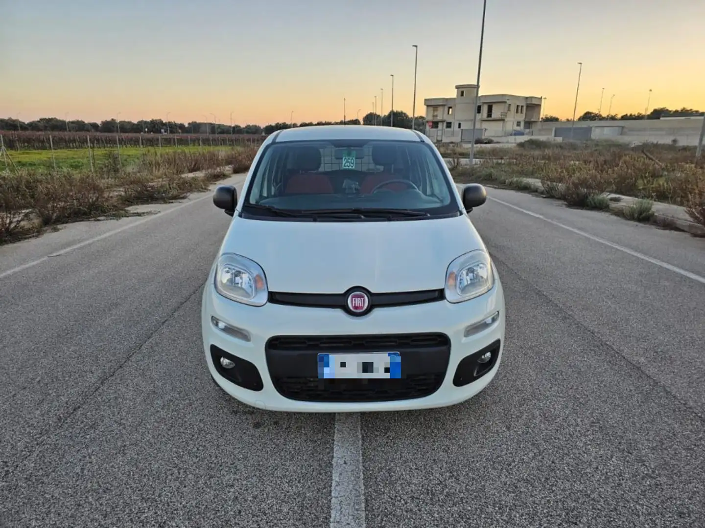 Fiat Panda 1.3 MJT S&S Pop Van 2 posti Bianco - 2