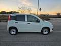 Fiat Panda 1.3 MJT S&S Pop Van 2 posti Bianco - thumbnail 4