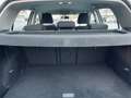 Volkswagen Golf 5p 1.6 tdi (btdi) Comfortline 110cv dsg.UNICO PR - thumbnail 14